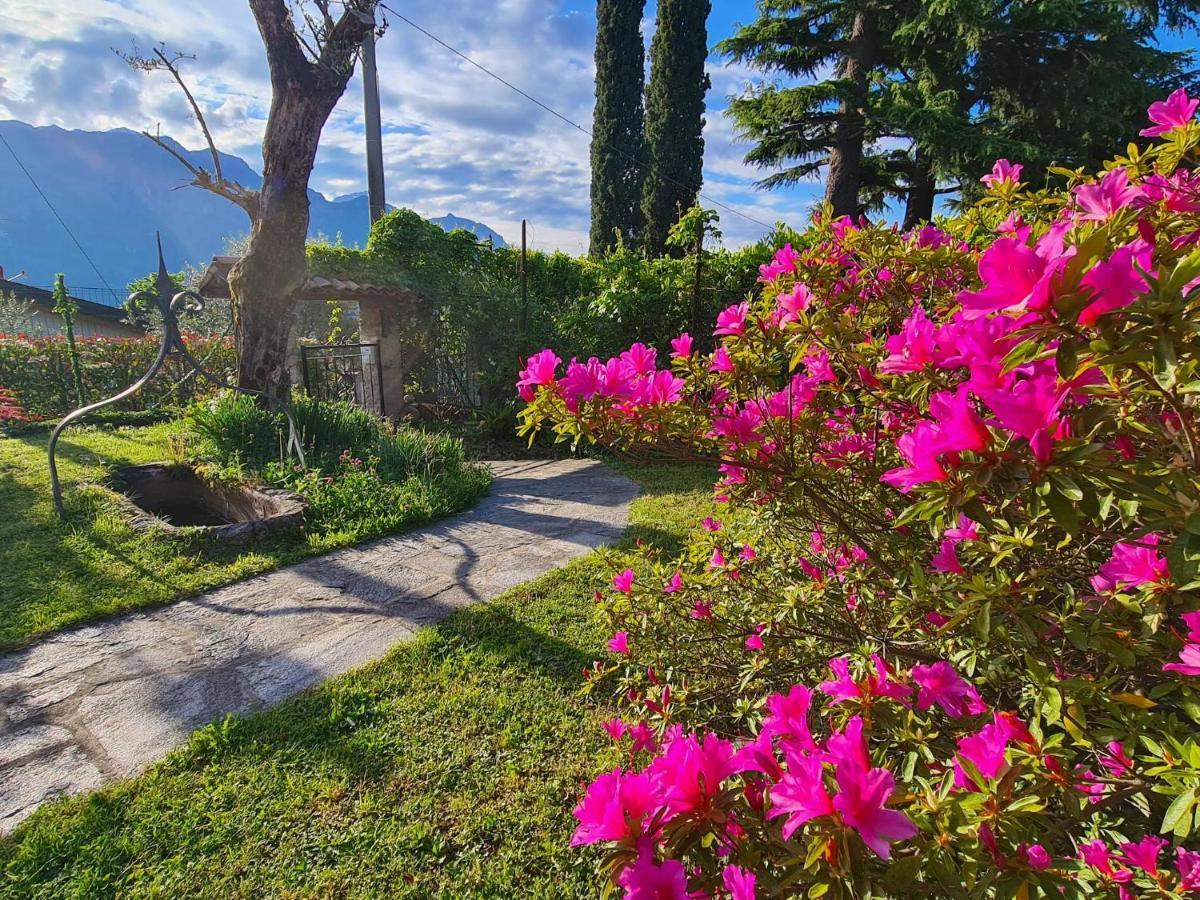 Appartamenti Casa La Rosa Μπελάτζιο Εξωτερικό φωτογραφία